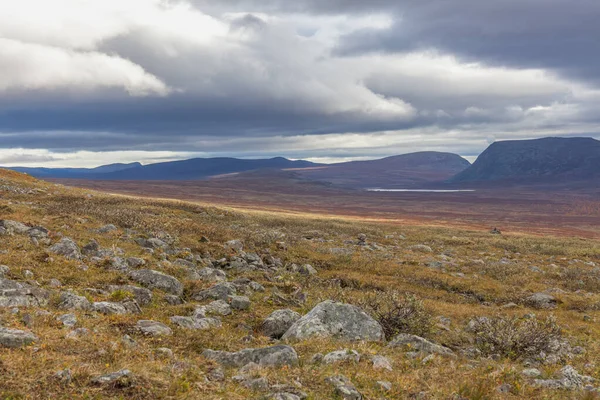 Národní Park Sarek Severním Švédsku Podzim Selektivní Zaměření — Stock fotografie