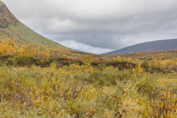 Národní Park Sarek Severním Švédsku Podzim Selektivní Zaměření — Stock fotografie