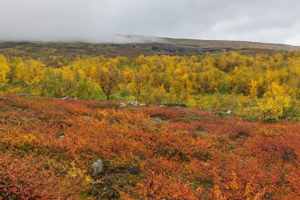 Sarek National Park Northern Sweden Autumn Selective Focus — 스톡 사진