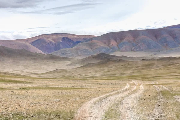 Suche Mongolskie Krajobrazy Górach Ałtajskich Szeroki Krajobraz — Zdjęcie stockowe