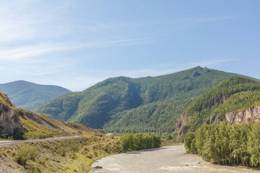 Altai 'deki White Mountain nehri. Altai, Rusya Yaz Manzarası. Altai Cumhuriyeti, Rusya 'nın etnik cumhuriyetlerinden biridir. Altay