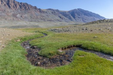 Tipik Moğol manzarası. Moğol Altai, Moğolistan