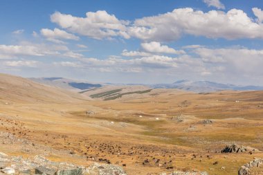 Tipik Moğol manzarası. Moğol Altai, Moğolistan