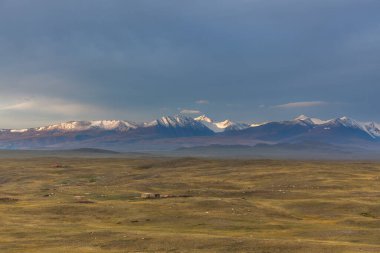 Tipik Moğol manzarası. Moğol Altai, Moğolistan