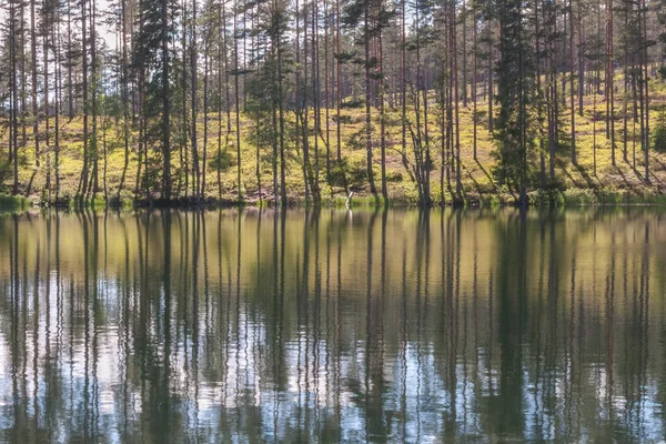 Ciel Nuageux Reflet Des Arbres Dans Une Zone Isolée Bord — Photo