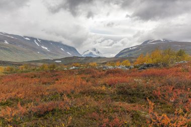Vadi manzarası. Kuzey İsveç, Sarek Ulusal Parkı fırtınalı havada. seçici odak