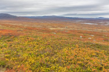 Laponya 'daki Sarek Ulusal Parkı Dağları, Sonbahar, İsveç, Seçici Odaklanma