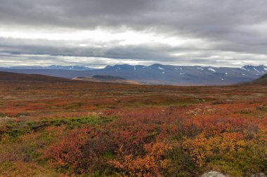 Laponya 'daki Sarek Ulusal Parkı Dağları, Sonbahar, İsveç, Seçici Odaklanma