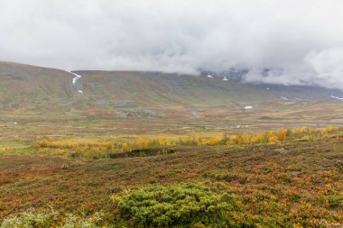 Vadi manzarası. Kuzey İsveç, Sonbaharda fırtınalı havada Sarek Ulusal Parkı. seçici odak