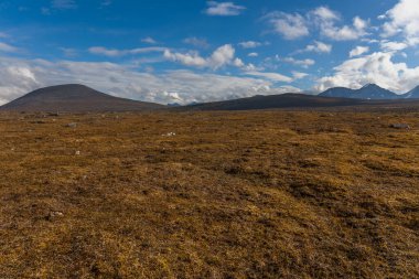 Sonbaharda İsveç 'in kuzeyinde Sarek Ulusal Parkı, seçici odaklı