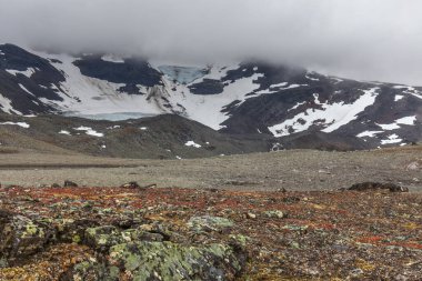 İsveç Laponya 'daki Sarek Ulusal Parkı' nın etkileyici manzarası. seçici odak.