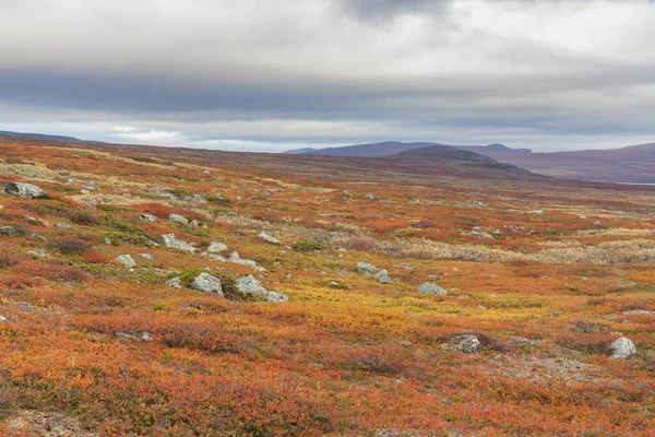 Sarek Nemzeti Park Hegyei Lappföldön Ősz Svédország Szelektív Fókusz — Stock Fotó
