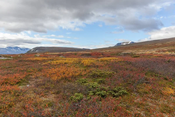 Вид Долину Северная Швеция Национальный Парк Сарек Бурную Погоду Осенью — стоковое фото