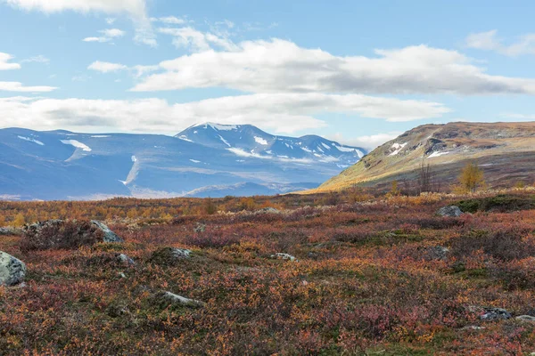 Národní Park Sarek Severním Švédsku Podzim Selektivní Zaměření — Stock fotografie