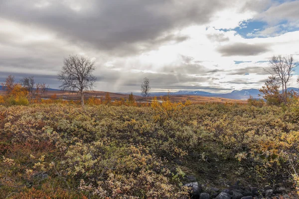 Vista Vale Norte Suécia Sarek National Park Clima Tempestuoso Outono — Fotografia de Stock