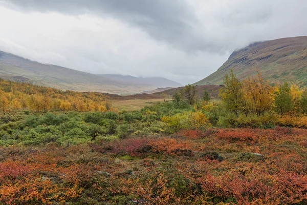 Sarek National Park Het Noorden Van Zweden Herfst Selectieve Focus — Stockfoto