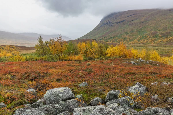 俯瞰山谷 瑞典北部 萨莱克国家公园在秋天的暴风雨天气里 选择性重点 — 图库照片