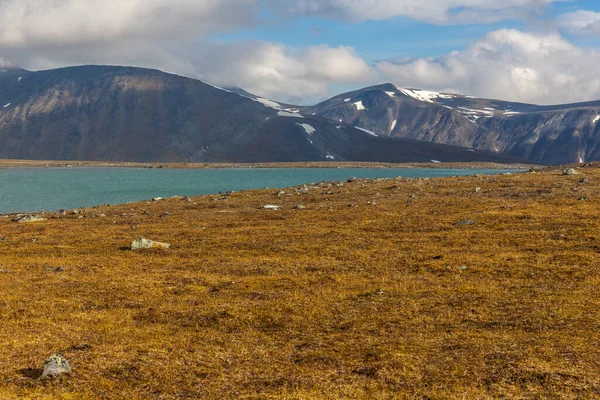 Hegyi Sarek Nemzeti Park Sarkvidéki Hegyeiben — Stock Fotó