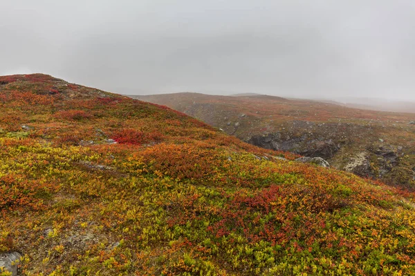 Parque Nacional Sarek Lapônia Vista Montanha Suécia Foco Seletivo — Fotografia de Stock