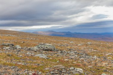 Sonbaharda İsveç 'in kuzeyinde Sarek Ulusal Parkı, seçici odaklı