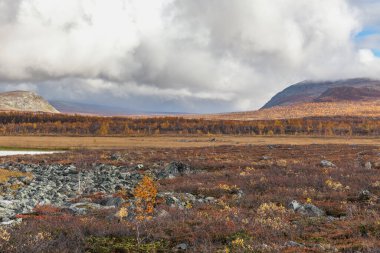 Laponya 'daki Sarek Ulusal Parkı Dağları, Sonbahar, İsveç, Seçici Odaklanma