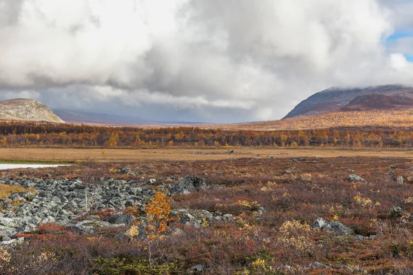 Bergen Van Sarek Nationaal Park Lapland Herfst Zweden Selectieve Focus — Stockfoto