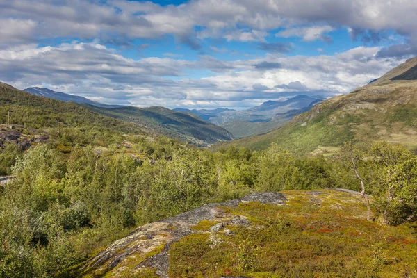 Green Grass Fields Norway Countryside Mountains Cloudy Foggy Summer Day — Stok fotoğraf