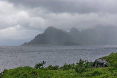 Lofoten Summer Landscape Lofoten Norveç 'in Nordland eyaletinde yer alan bir takımadadır. Dramatik dağları ve zirveleri olan kendine özgü bir manzarası var. seçici odak