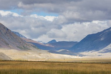 Tipik Moğol manzarası. Moğol Altai, Moğolistan