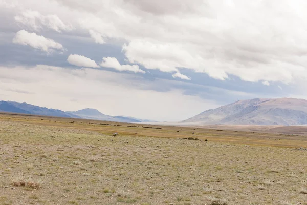 Suchá Mongolská Krajina Pohoří Altai Široká Krajina — Stock fotografie
