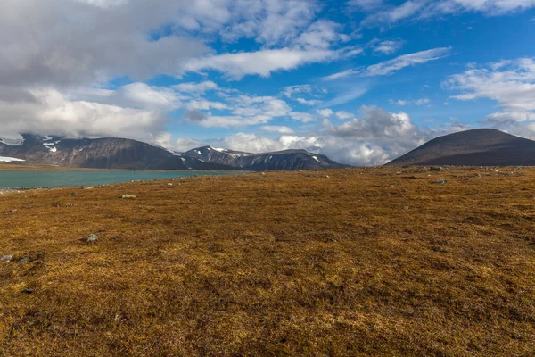 Parco Nazionale Sarek Nel Nord Della Svezia Autunno Focus Selettivo — Foto Stock