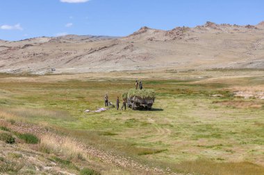 Altai, Moğolistan - 14 Haziran 2017: Tarlada çim biçen Moğol askerleri.