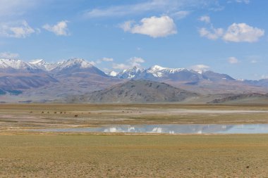 Altai Dağları 'ndaki Moğol manzaraları, geniş bir manzara..