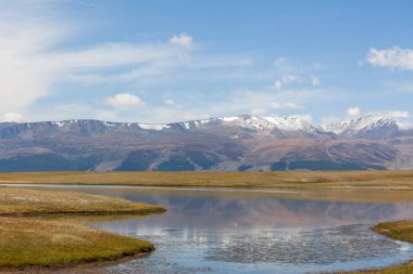 Tipik Moğol manzarası. Moğol Altai, Moğolistan