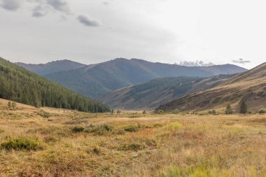 Tipik Moğol manzarası. Moğol Altai, Moğolistan.