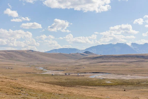 Vista Típica Del Paisaje Mongol Mongolia Altai Mongolia — Foto de Stock