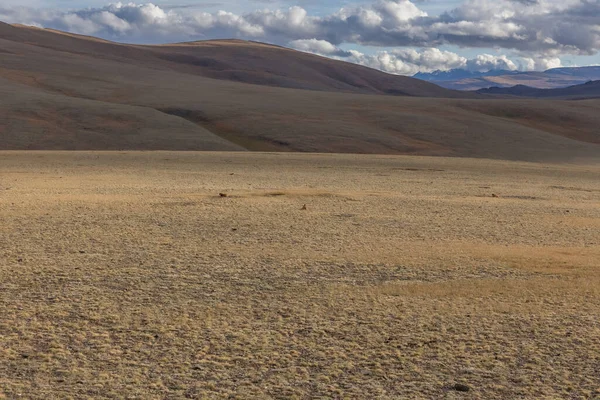Paisagens Mongóis Nas Montanhas Altai Ampla Paisagem — Fotografia de Stock