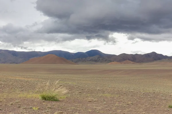 Dry Mongolian landscapes in the Altai Mountains, wide landscape.