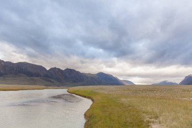 Tipik Moğol manzarası. Moğol Altai, Moğolistan
