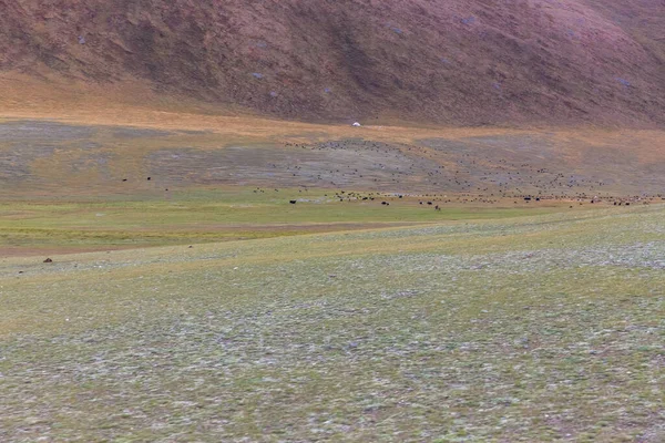 Paisagem Mongol Parque Nacional Altai Tavan Bogd Bayar Ulgii — Fotografia de Stock