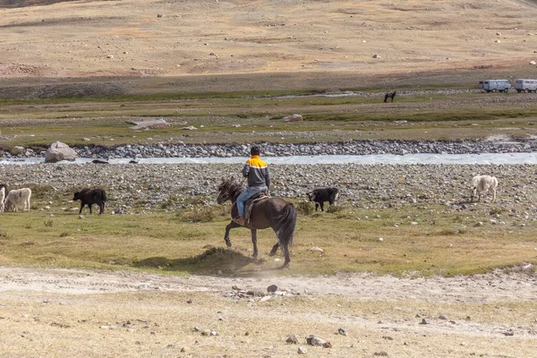 蒙古阿尔提 2019年6月11日 蒙古风景中的马背上 Altaj 蒙古谷地景观 — 图库照片