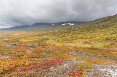 Laponya 'daki Sarek Ulusal Parkı Dağları, Sonbahar, İsveç, Seçici Odaklanma