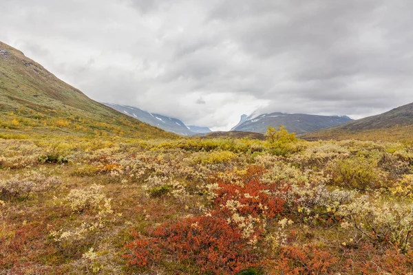 Гори Національного Парку Сарек Лапландії Осінь Швеція — стокове фото