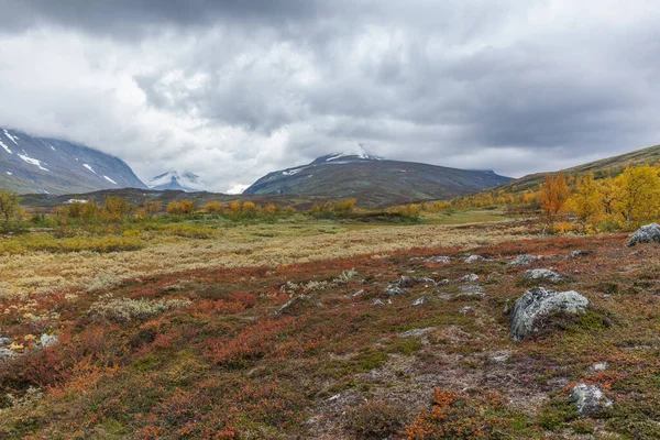 Bergen Van Sarek Nationaal Park Lapland Herfst Zweden Selectieve Focus — Stockfoto