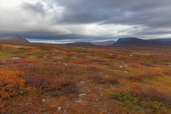 Sarek Εθνικό Πάρκο Στη Βόρεια Σουηδία Φθινόπωρο Επιλεκτική Εστίαση — Φωτογραφία Αρχείου