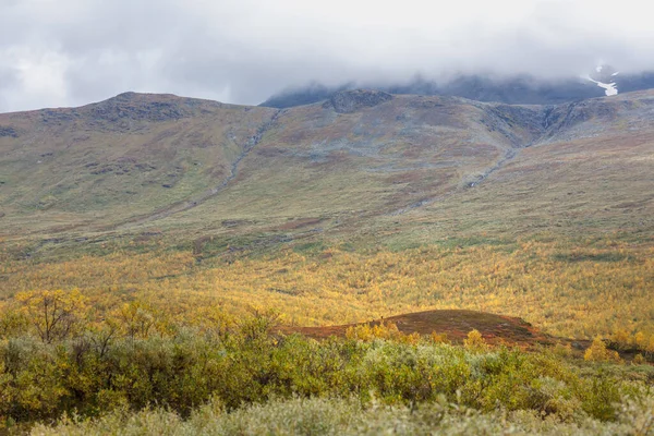 Národní Park Sarek Laponsku Podzim Švédsko Selektivní Zaměření — Stock fotografie