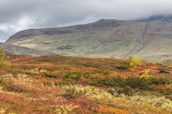 Vadi Manzarası Kuzey Sveç Sonbaharda Fırtınalı Havada Sarek Ulusal Parkı — Stok fotoğraf