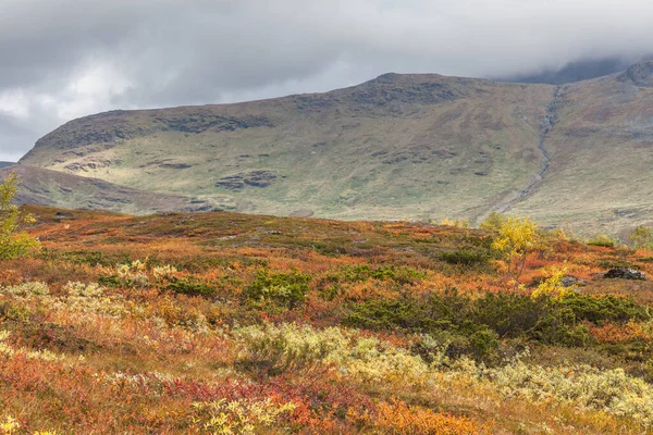 Uitzicht Vallei Noord Zweden Sarek National Park Bij Stormachtig Weer — Stockfoto