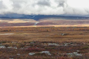 Vadi manzarası. Kuzey İsveç, Sonbaharda fırtınalı havada Sarek Ulusal Parkı. seçici odak