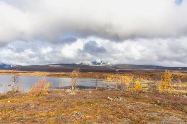 Vadi manzarası. Kuzey İsveç, Sonbaharda fırtınalı havada Sarek Ulusal Parkı. seçici odak